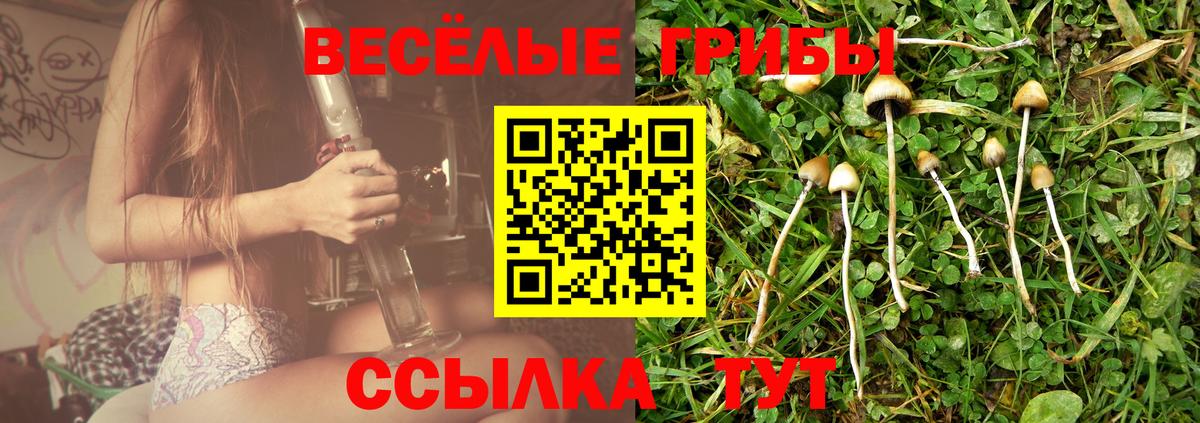 Галлюциногенные грибы Cubensis Зерноград